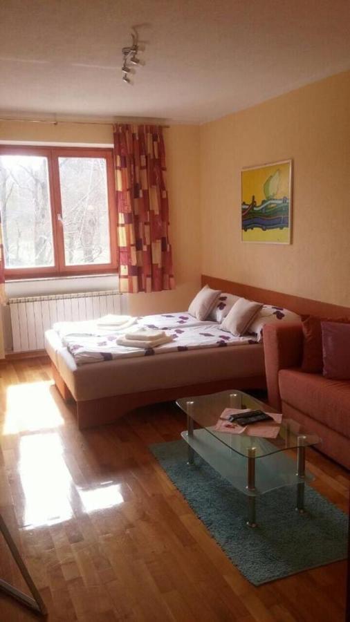 Gaby Apartment-Center Of Plitvička Jezera Buitenkant foto